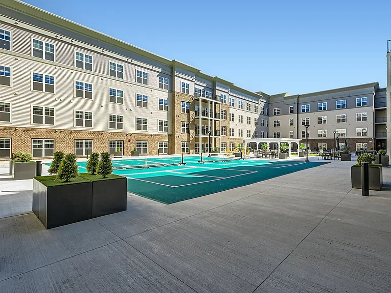 Pickleball Court