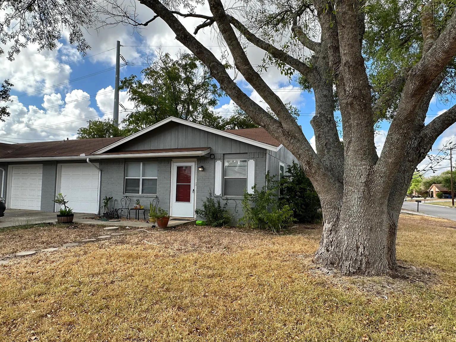 193 Rhine Ter — Photo 2