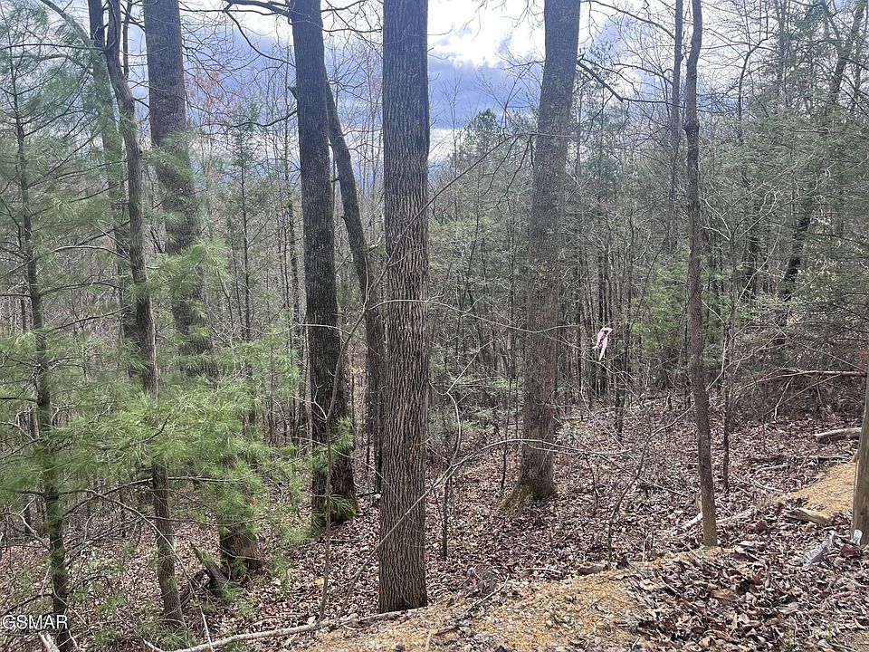1st image of 5554-71 Yellowwood Dr