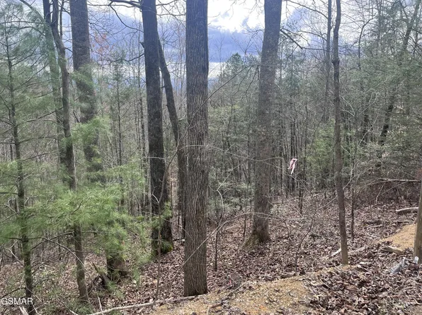 5554-71 Yellowwood Dr, Sevierville, TN 37876