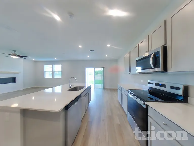 56 Brazil Nut Cir — Photo 6