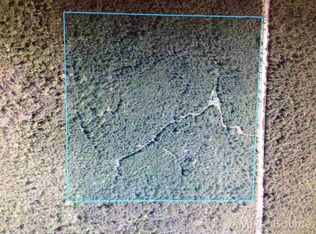 7898 Miller Rd, Posen, MI 49776