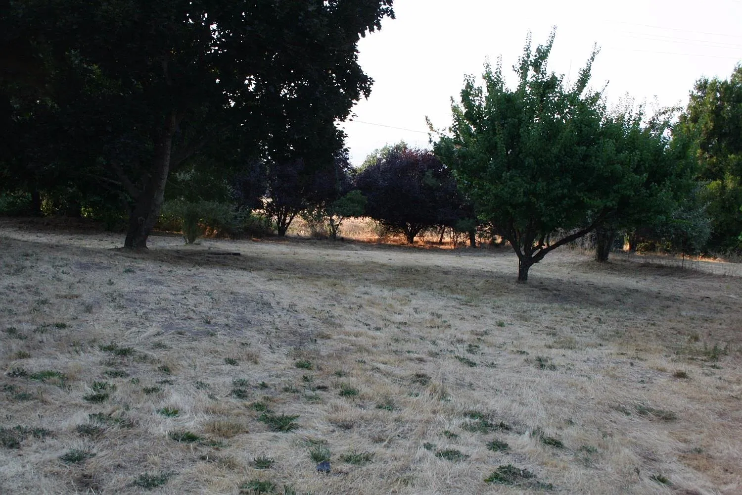 620 Crowson Rd photo 1
