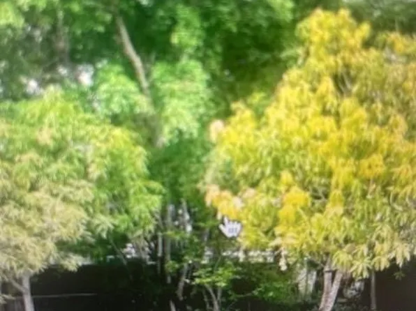 901 NW 24th Avenue, Fort Lauderdale, FL 33311