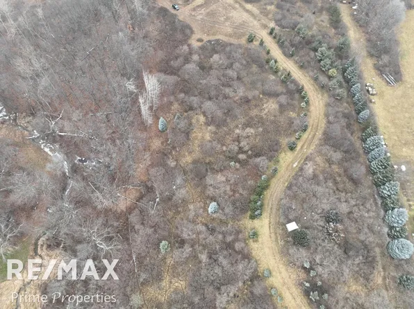 0 W Brown Rd, Mayville, MI 48744