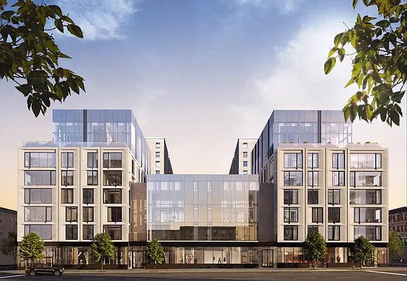 Bloom on Forty Fifth