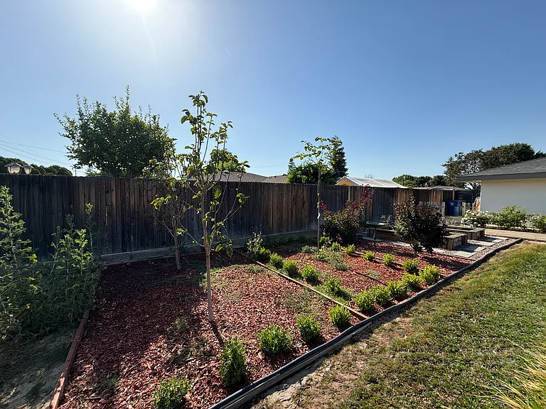 BACKYARD GARDEN