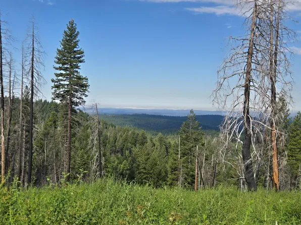 4898 Creekside Dr, Grizzly Flats, CA 95636