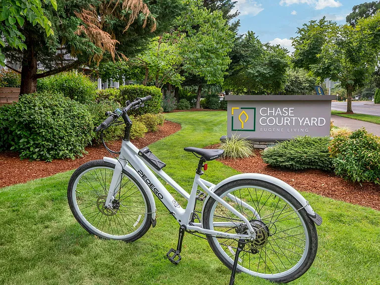 Free Electric Bike Rentals