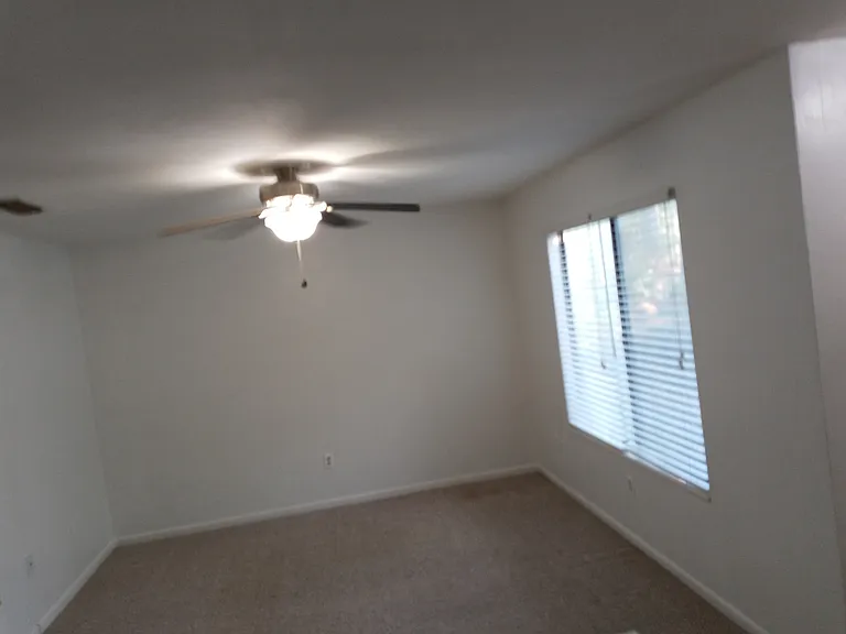 4410 Black Forest Way — Photo 18
