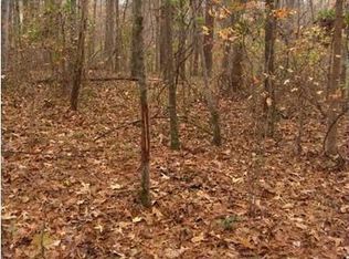 365 Sturgess Run, Sharpsburg, GA 30277