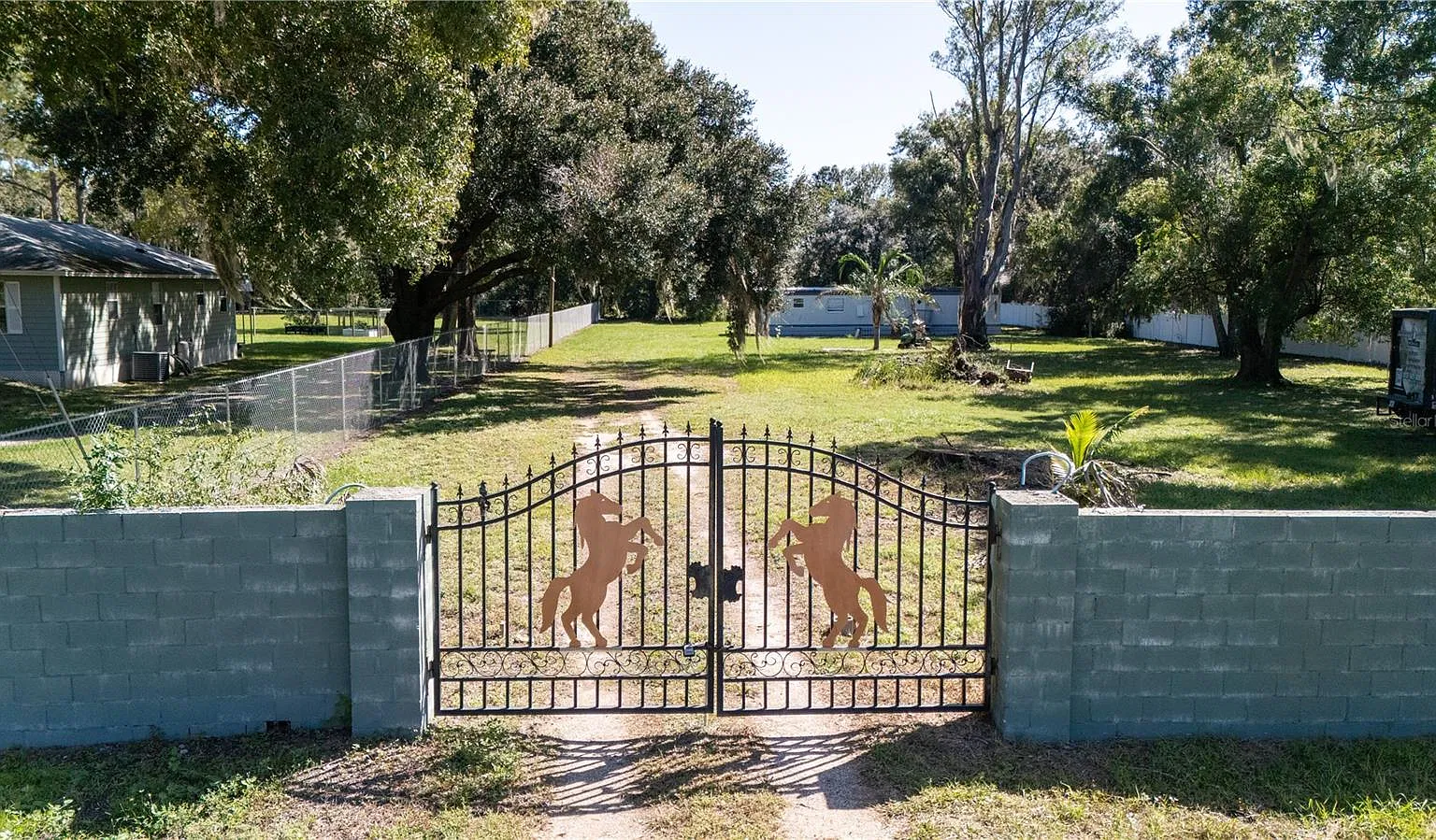 Lovers Lane — Photo 2