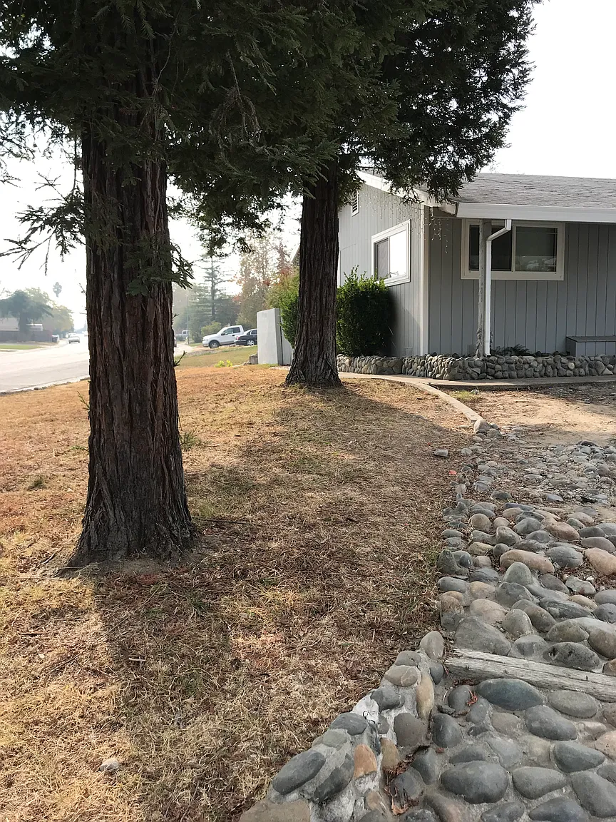 6818 Outlook Dr photo 1
