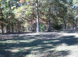 124 Hunters Ln, Hohenwald, TN 38462