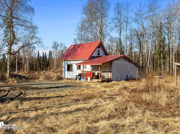 25546 W Sheep Creek Dr, Willow, AK 99688