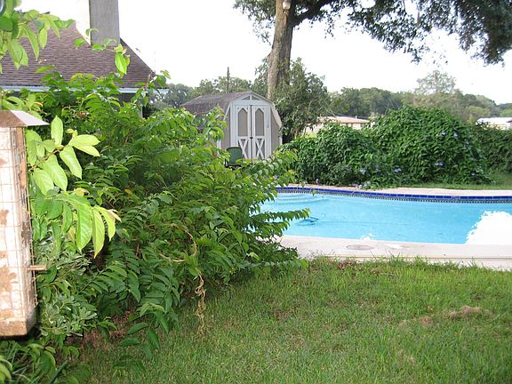 Backyard with Pool & Shed