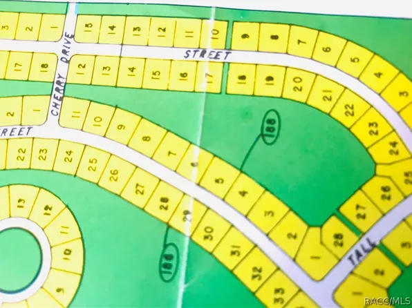 20 Lupine St, Homosassa, FL 34446