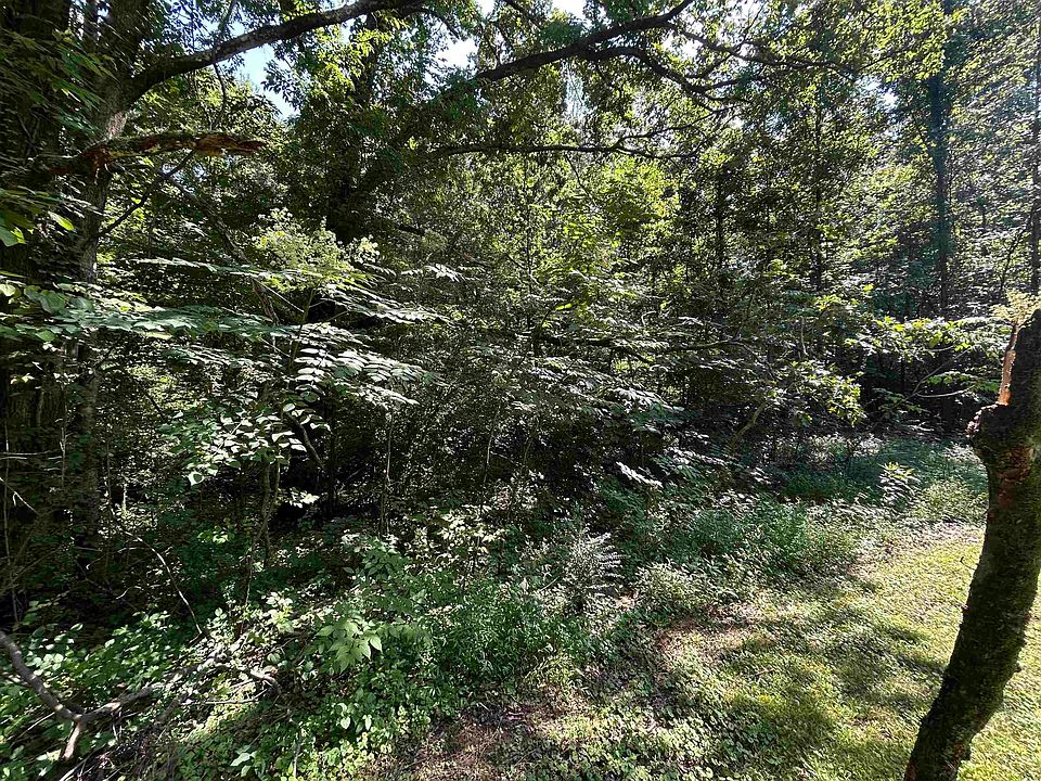 2nd image of 0 Cherry Oak Ln