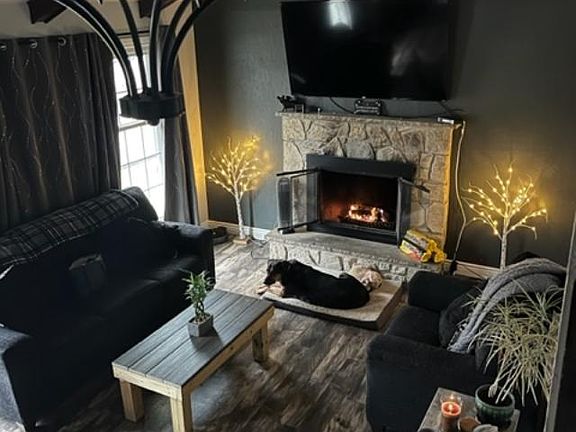 Living Room (Dog not included :-))