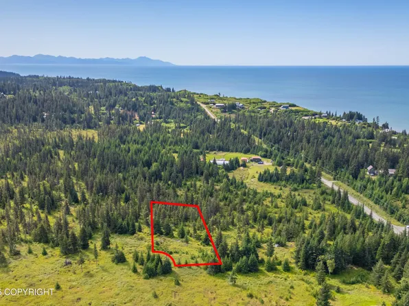 73901 Kirtley Ct, Anchor Pt, AK 99556