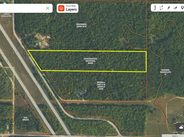 Brudy Rd, Wolverine, MI 49799