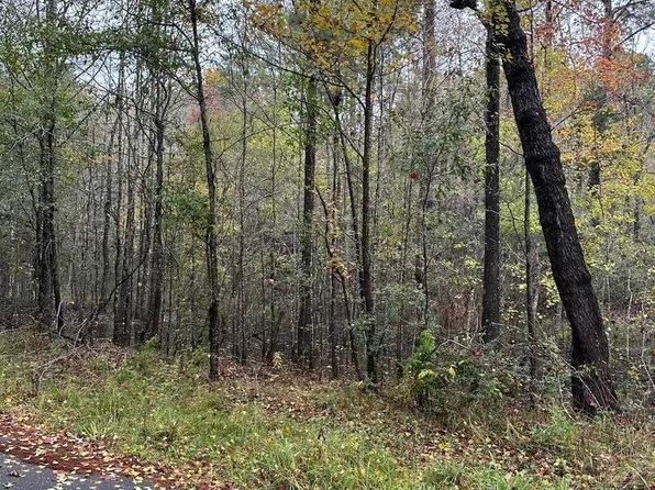 00 County Road 065 LOT 34, Jasper, TX 75951