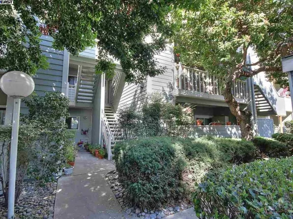 37168 Meadowbrook Cmn APT 203, Fremont, CA 94536