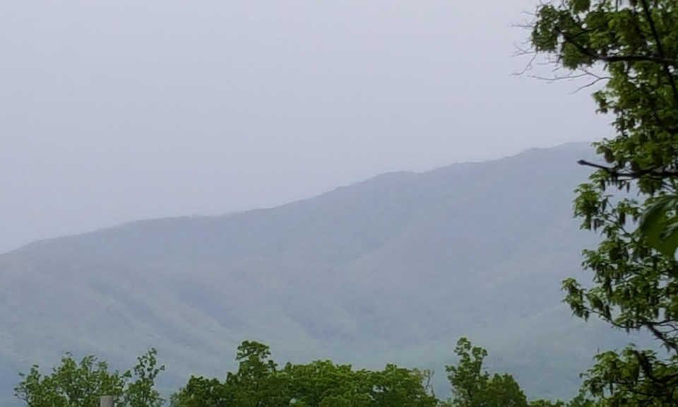 1st image of Vista Dr