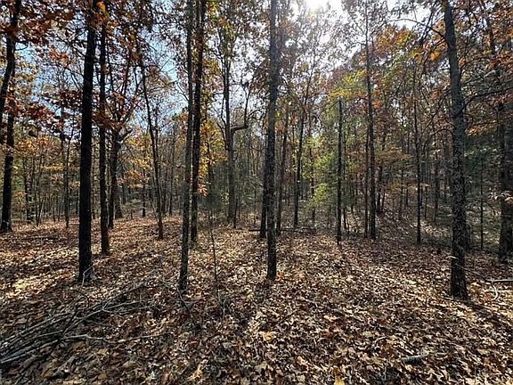 5th image of 0001 County Rd #8040