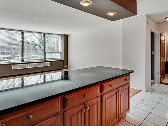 5th image of 1360 N Sandburg Ter APT 303