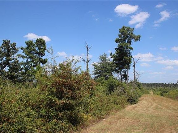 4th image of 6762 County Road 302