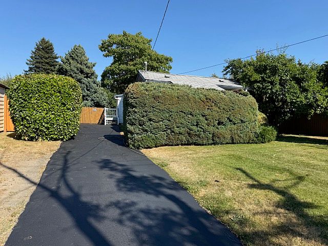 View from street
Home sits back a ways and is sheltered by mature bushes