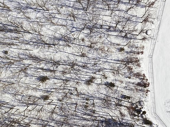 4th image of 152-152 Burnside Ave #R