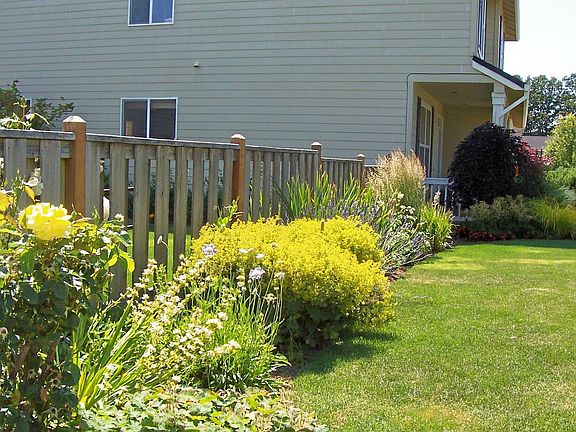 Fenceline in June