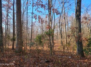 Clifton Cemetery Rd, Spring City, TN 37381