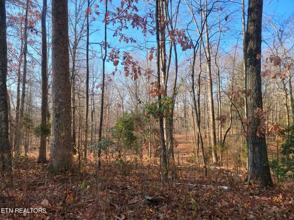 Clifton Cemetery Rd, Spring City, TN 37381