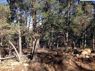 28 Cherokee Trl, Silver City, NM 88061