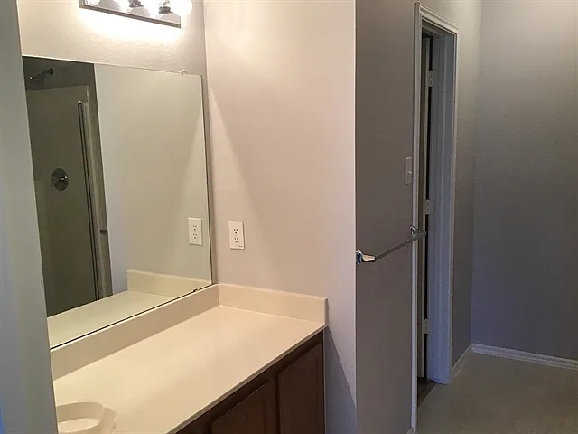 1313 Cherokee Rose Ln — Photo 12