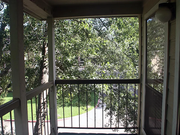 Outdoor covered, tree lined patio