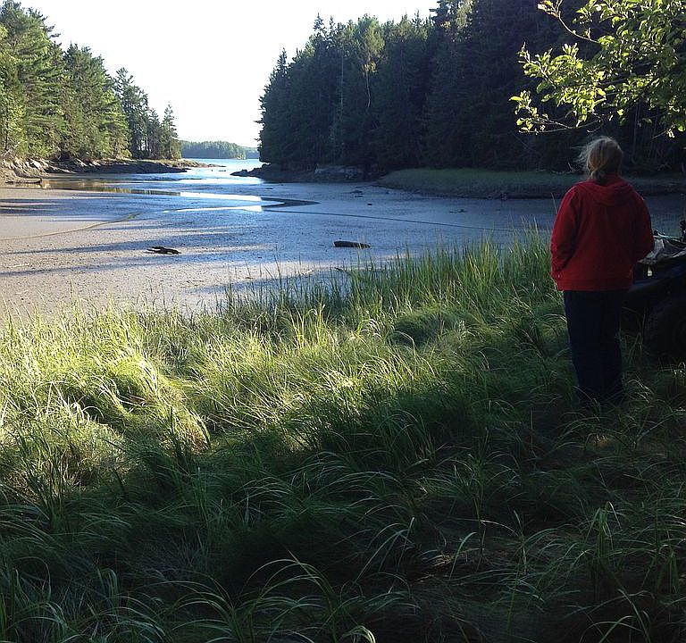2nd image of 442 Mill Rd