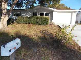 11230 Yew Tree Ave, Port Richey, FL 34668