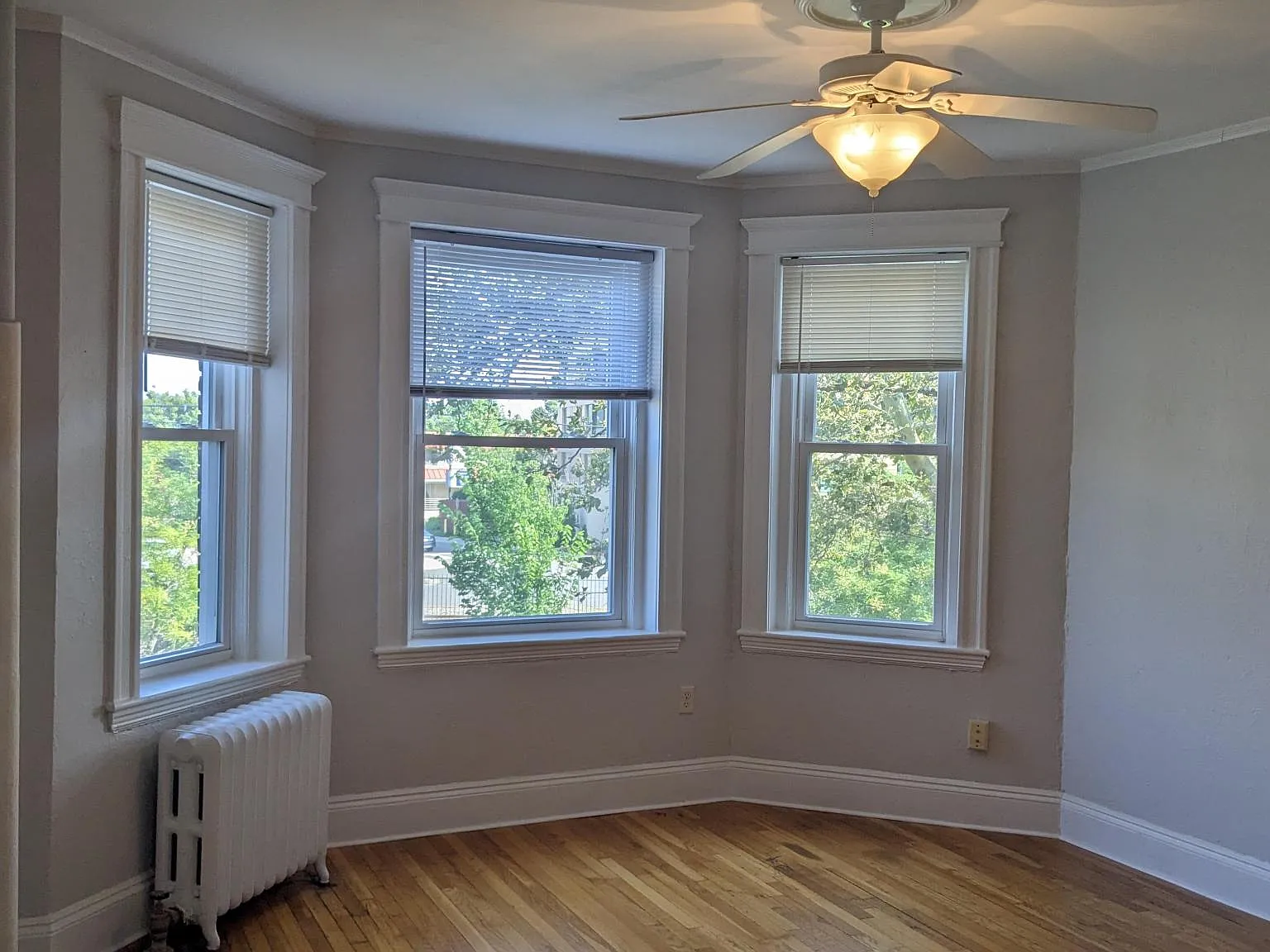 1 bed, 541 sqft, $2,500 — Photo 1