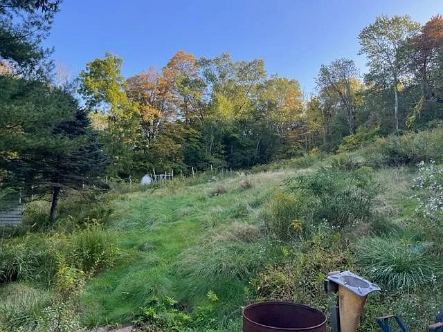 407 S Britain Rd — Photo 3