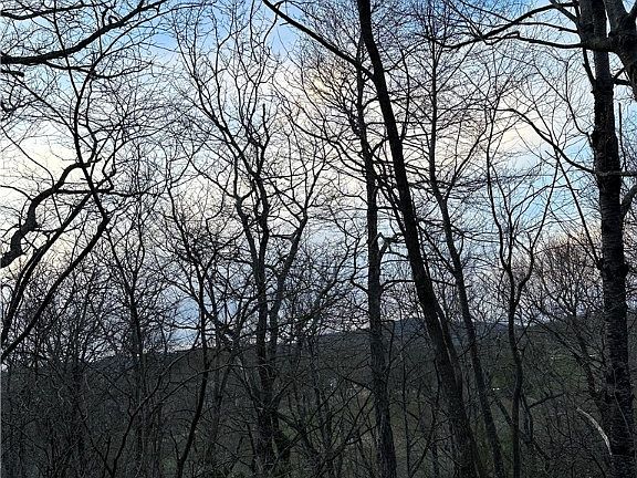2nd image of lot 14 Green Hill Woods