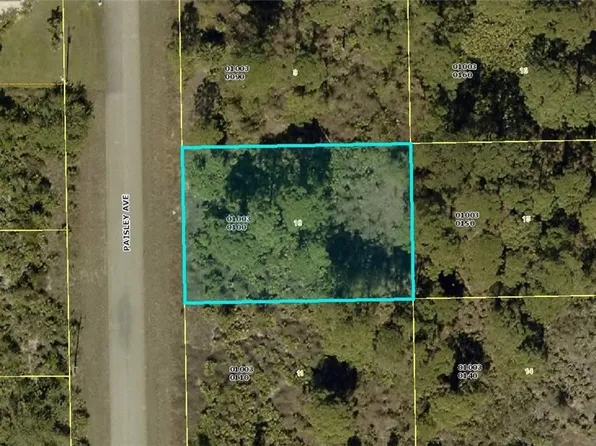 321 Paisley Ave, Lehigh Acres, FL 33974