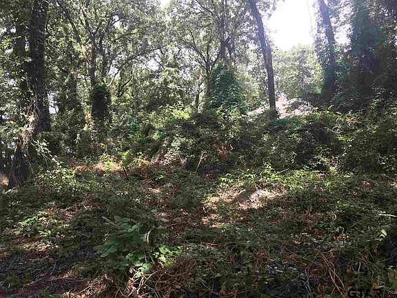 5th image of LOT 7 County Road 1297