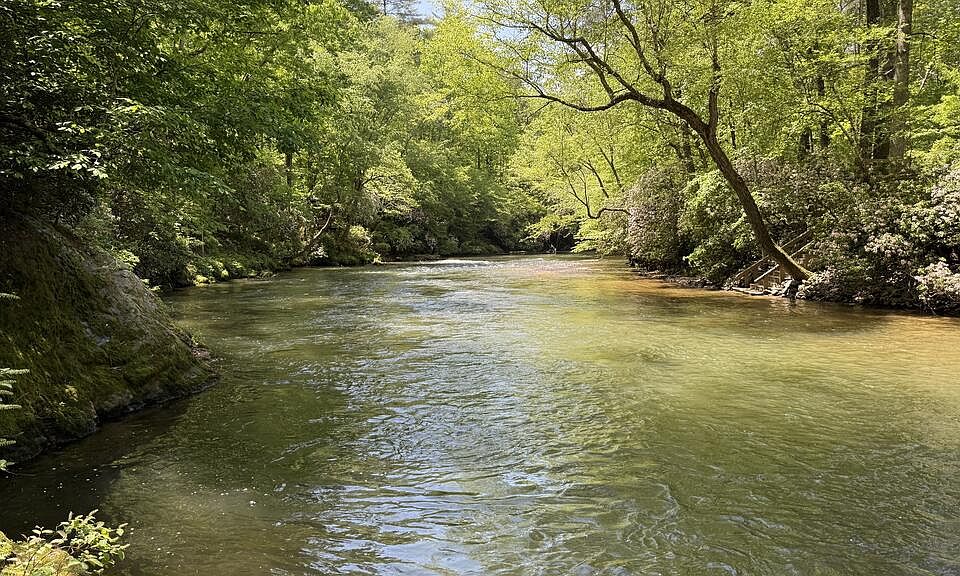 1st image of 858 River Forest Run