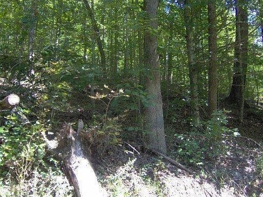2nd image of Ward Ln