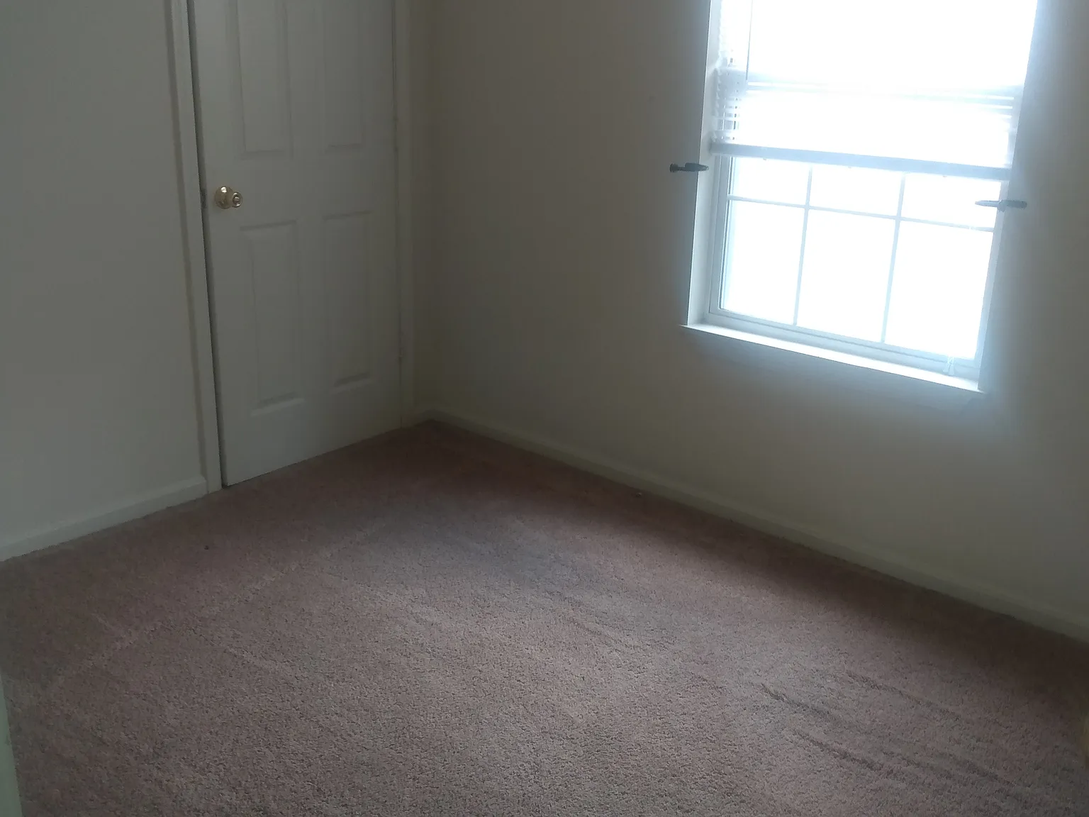 2 bed, 900 sqft, $1,000 — Photo 4