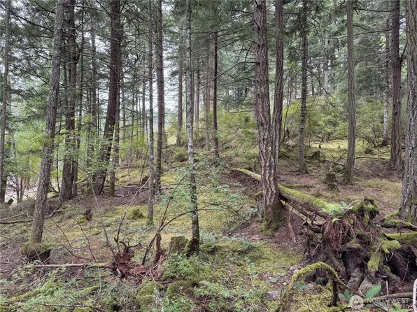 0 Diamond Hill Road, Orcas Island, WA 98245